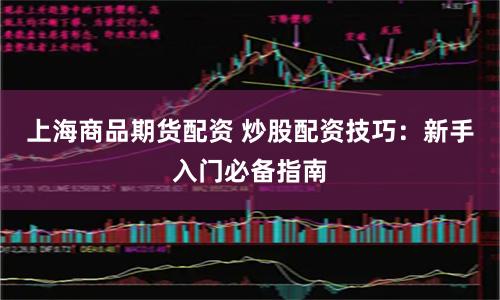 上海商品期货配资 炒股配资技巧：新手入门必备指南