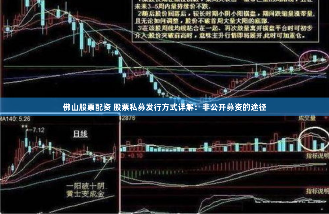 佛山股票配资 股票私募发行方式详解：非公开募资的途径