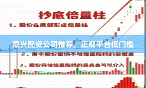 嘉兴配资公司推荐，正规平台低门槛