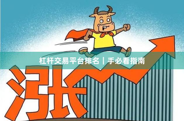 杠杆交易平台排名|手必看指南