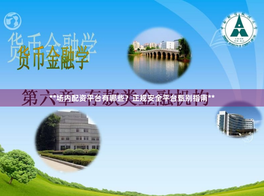 **场内配资平台有哪些？正规安全平台甄别指南**