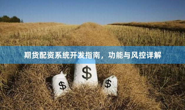 期货配资系统开发指南，功能与风控详解
